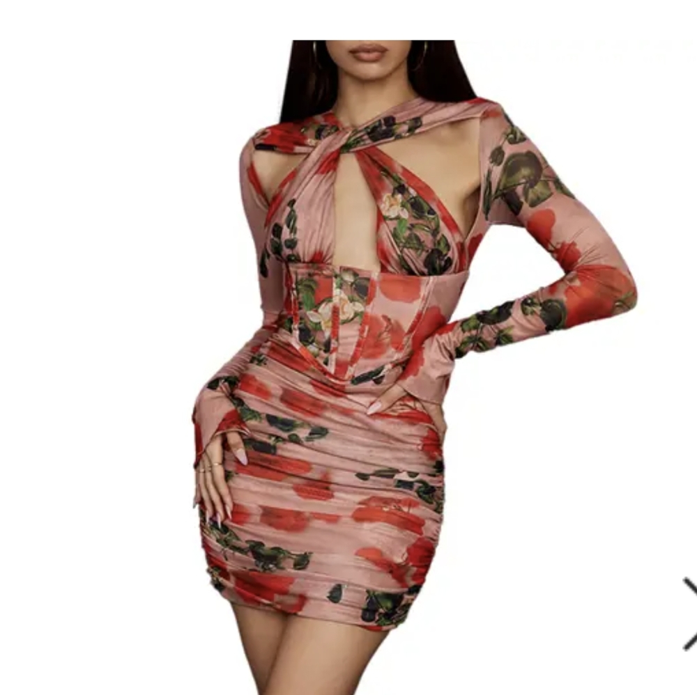 Long Sleeve Rose Mini dress